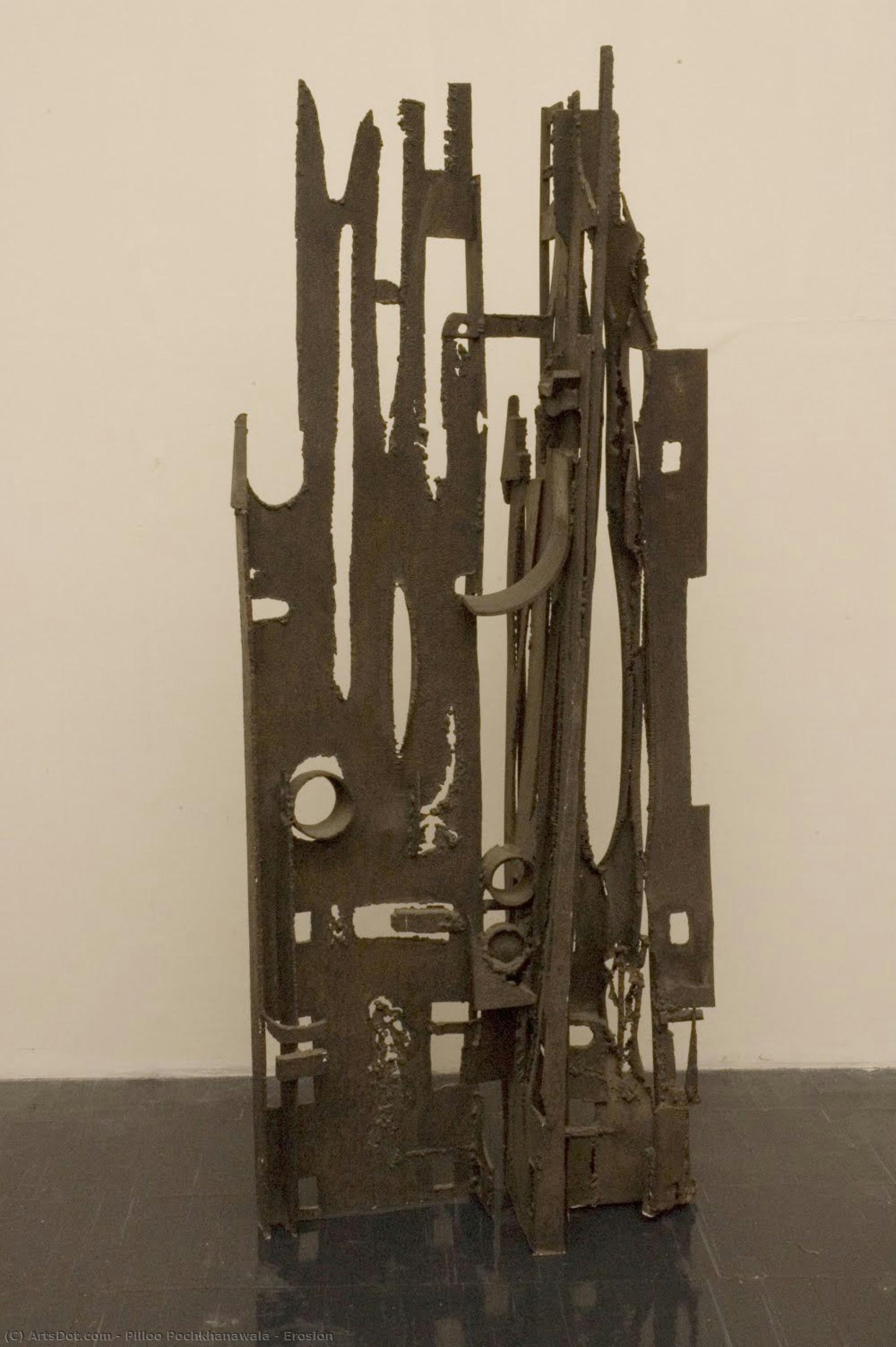 Erosion — Pilloo Pochkhanawala