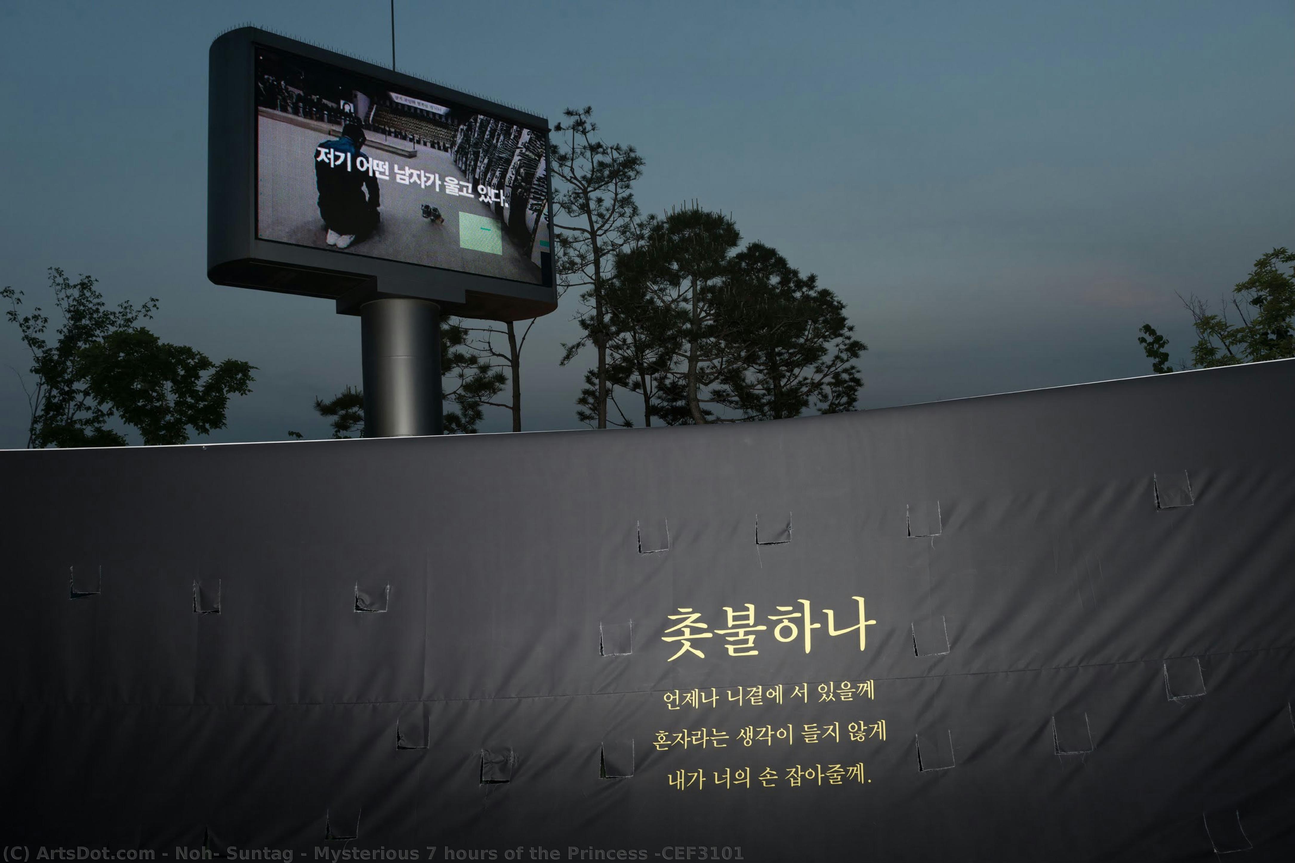 Mysterious 7 Hours Of The Princess #cef3101 — Noh, Suntag