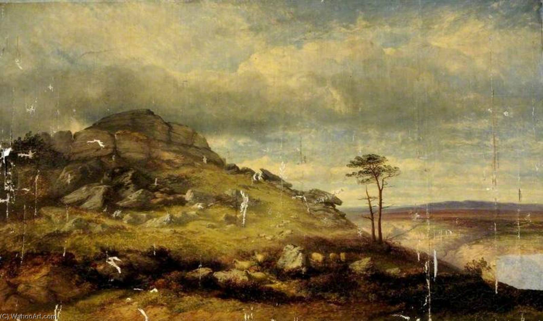 Landscape — James Poole