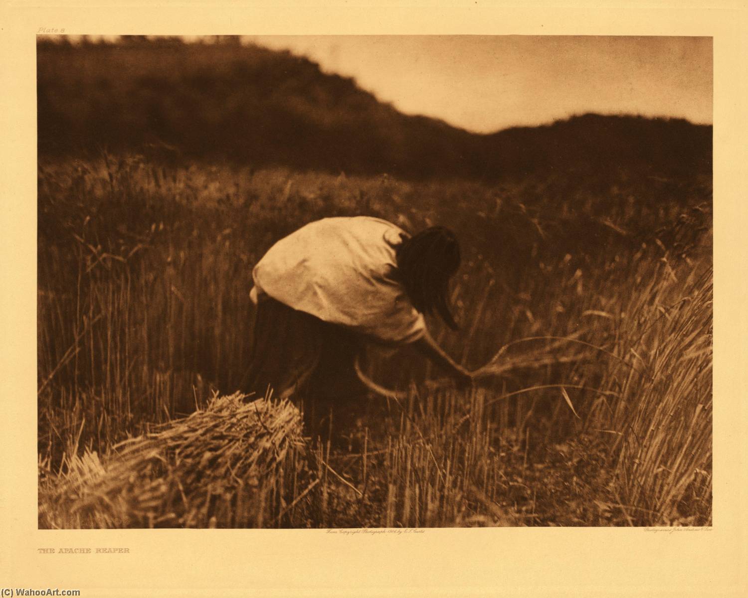 Untitled (aqu46p) — Edward Sheriff Curtis