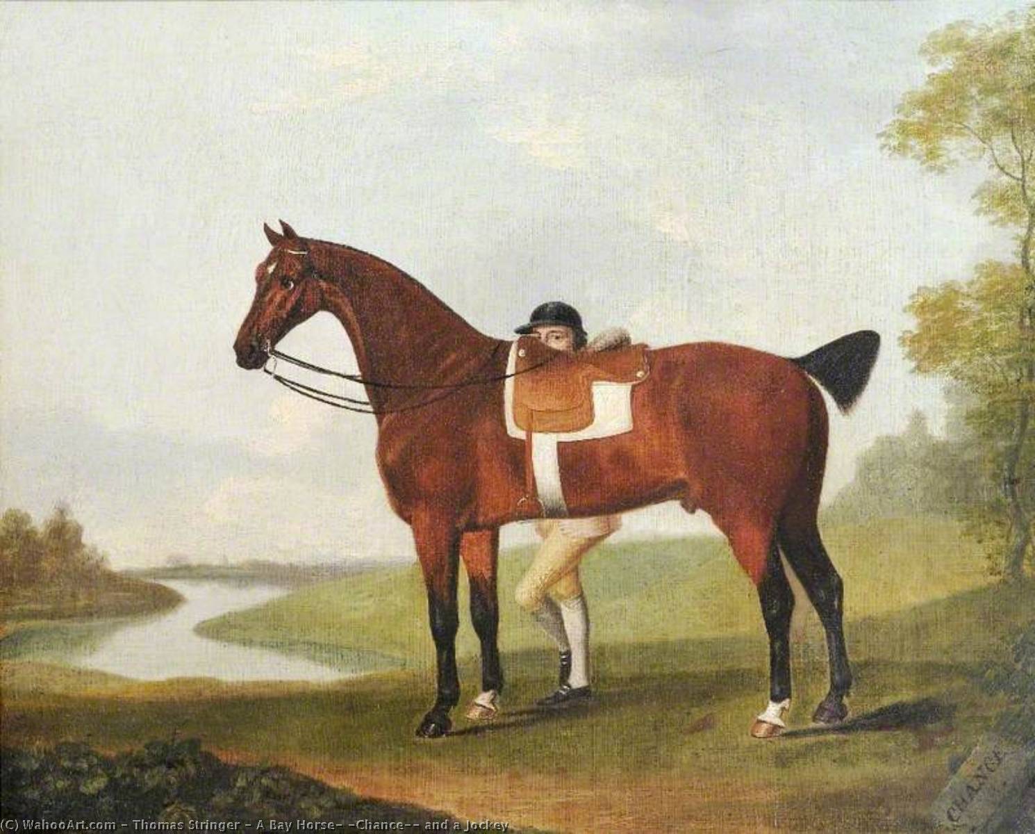 A Bay Horse, 'chance', And A Jockey — Thomas Stringer