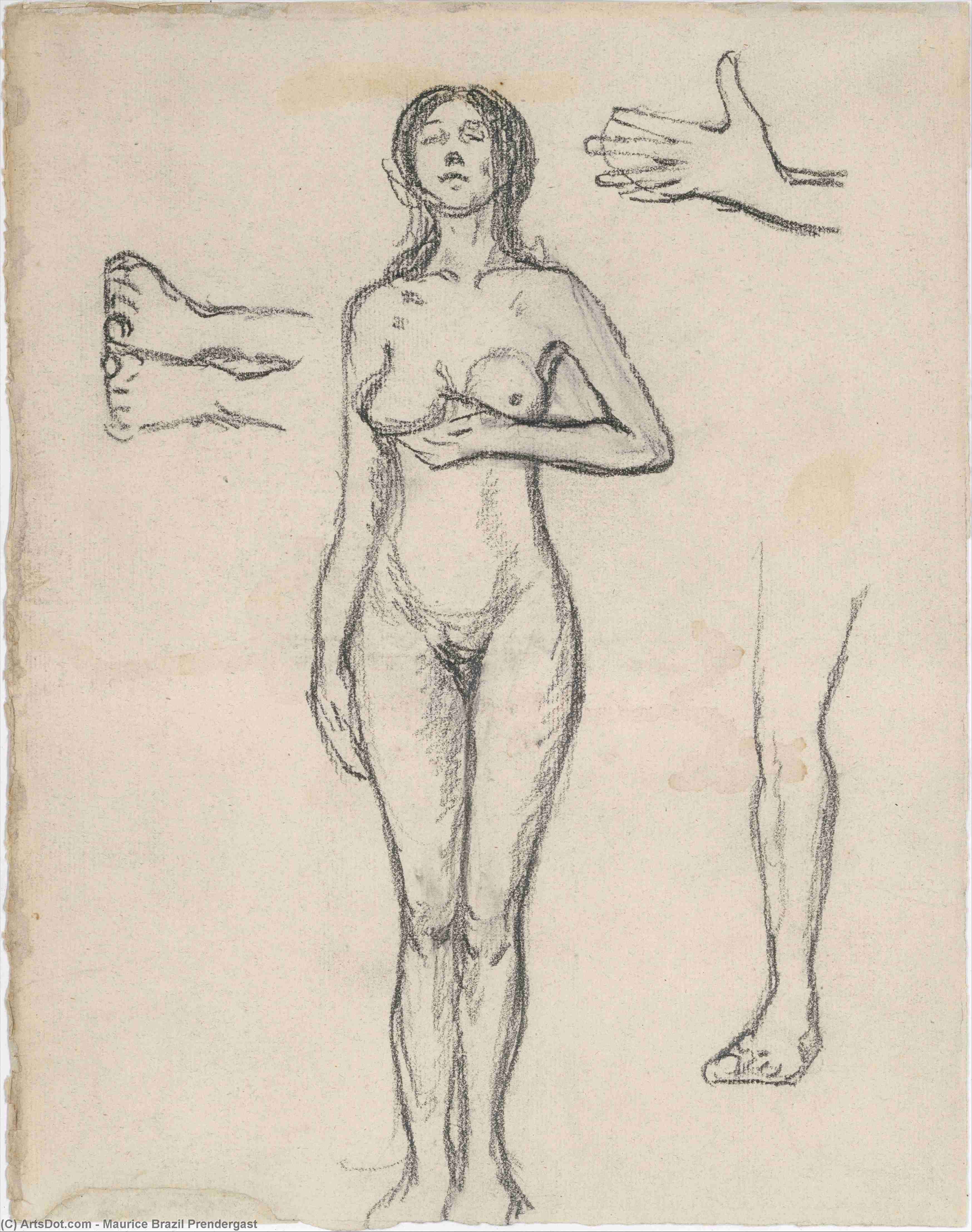 Standing Nude Woman And Studies Of A Hand, Leg, And Feet — Maurice Brazil Prendergast