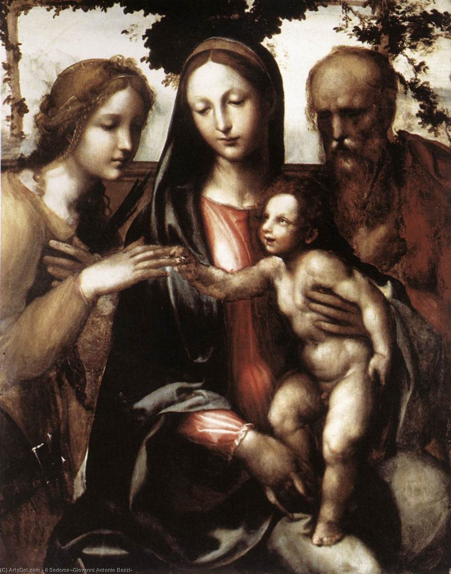 The Mystic Marriage Of St Catherine — Il Sodoma (giovanni Antonio Bazzi)