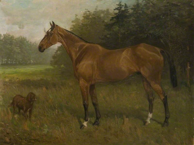 'kozak' By 'carlton Koza' — William Josiah Redworth