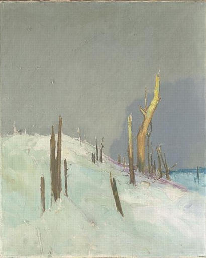 Vue Du Front La Forêt Ravagée Par La Guerre — Espérance Léon Broquet