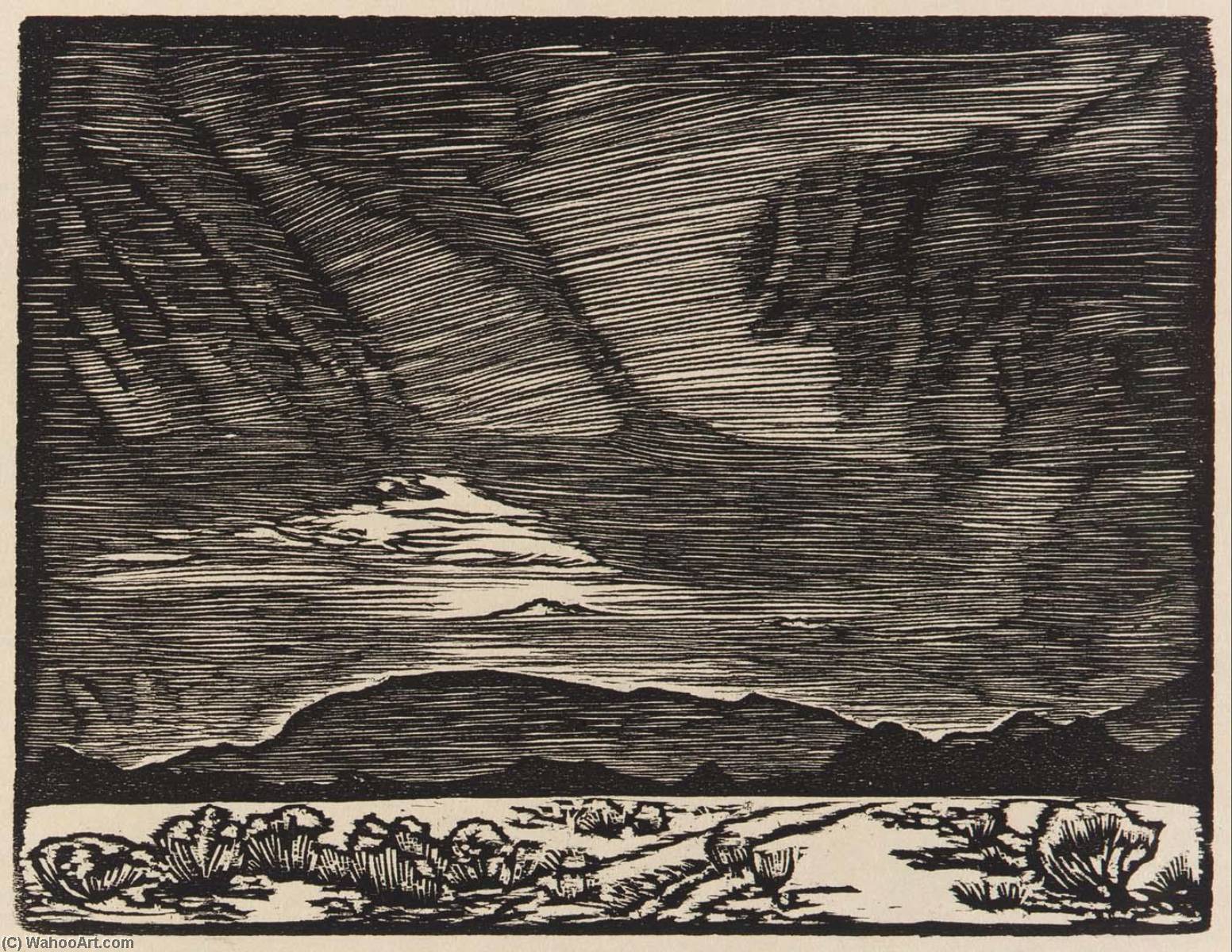 The Desert — Говард Кук