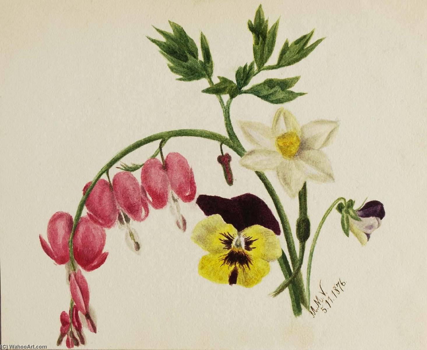 (untitled Mixed Flowers) — Mary Morris Vaux Walcott