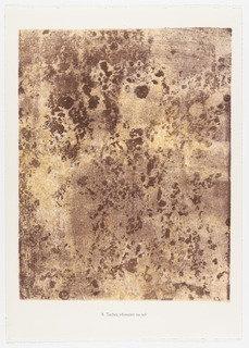 Dreamy Marks In Soil (taches Réveuses Au Sol) From The Portfolio Fields Of Silence (champs De Silence) From Phenomena (les Phénomènes) — Jean Philippe Arthur Dubuffet