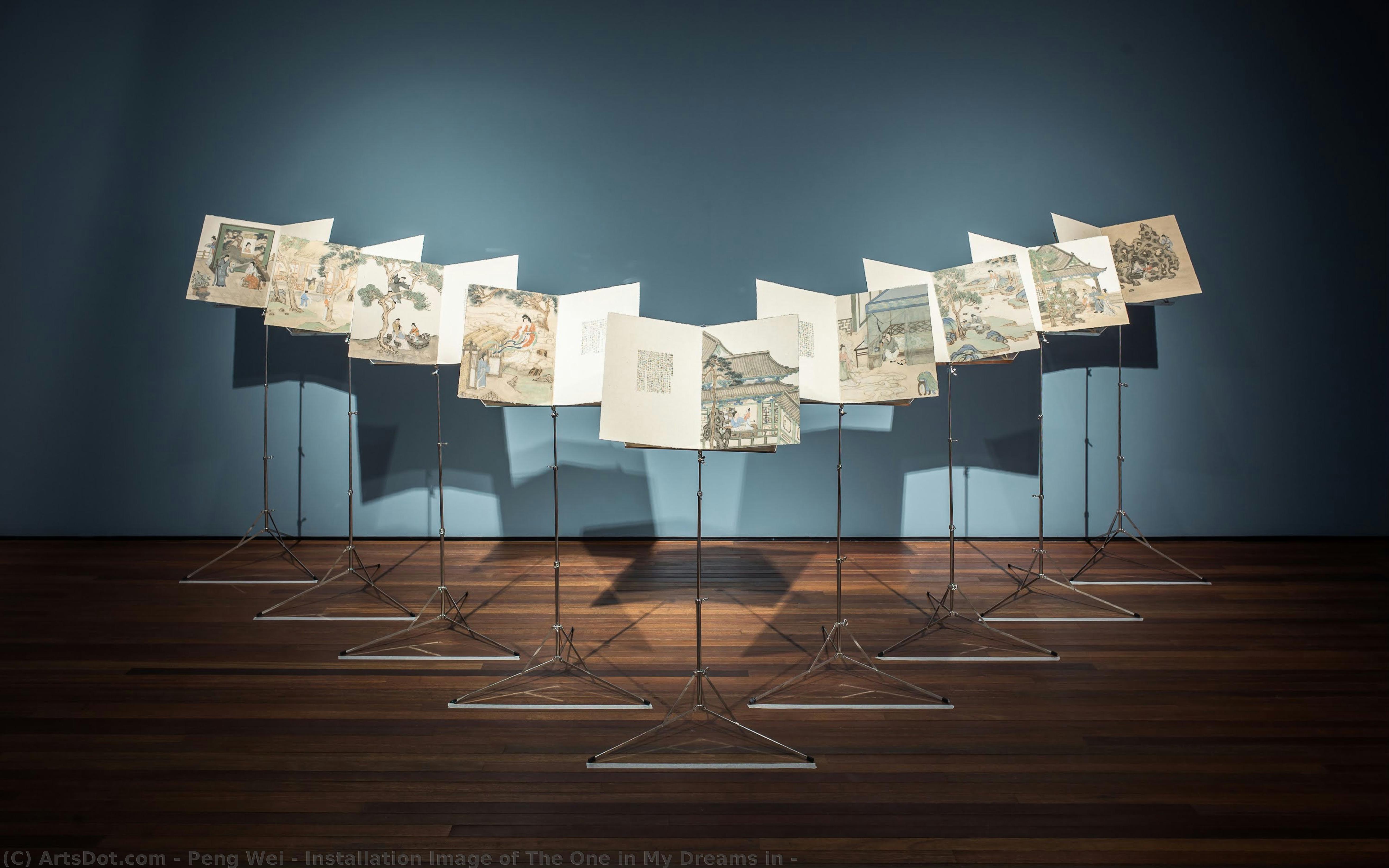 Installation Image Of The One In My Dreams In — Peng Wei