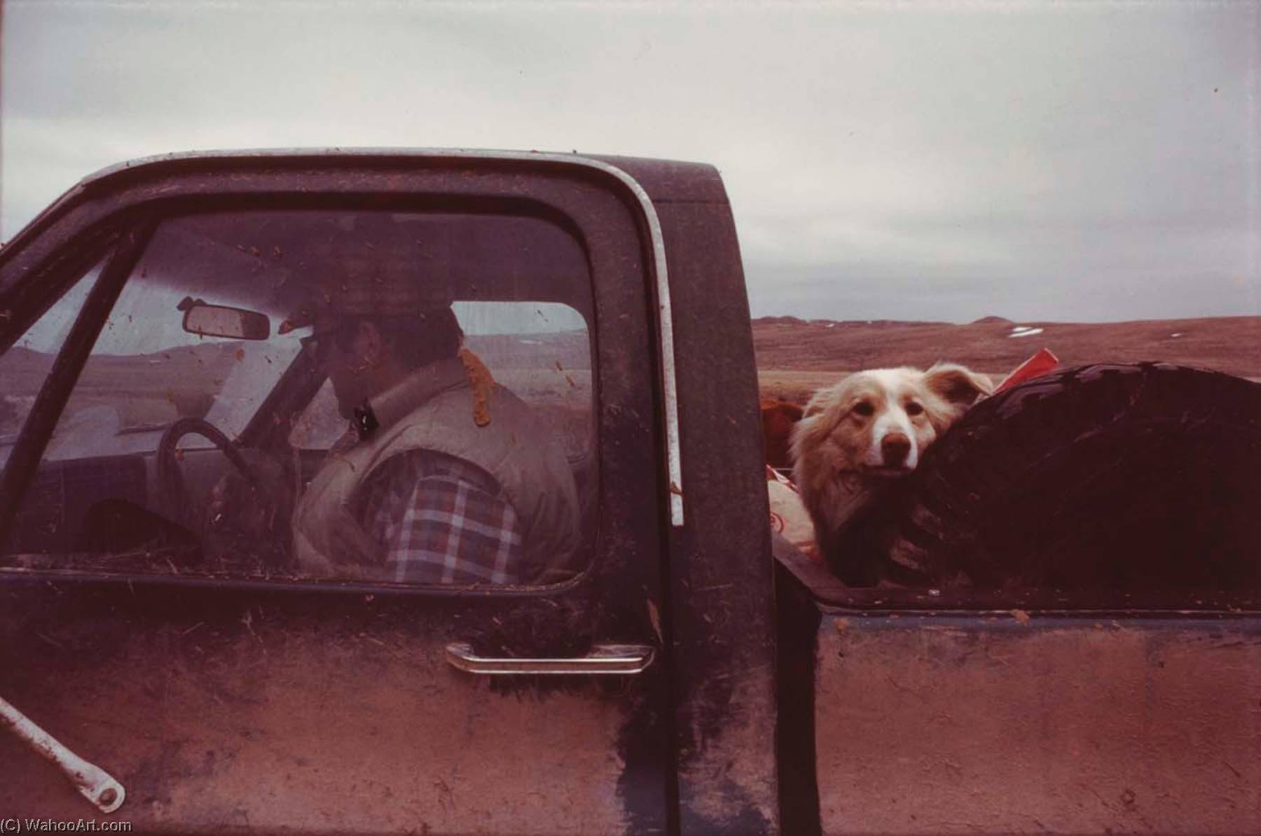 Ranchester Cowboy, From The Wyoming Documentary Survey Project — Penny Diane Wolin