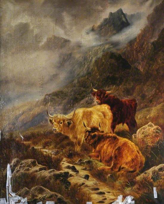 Highland Cattle — William Perring Hollyer