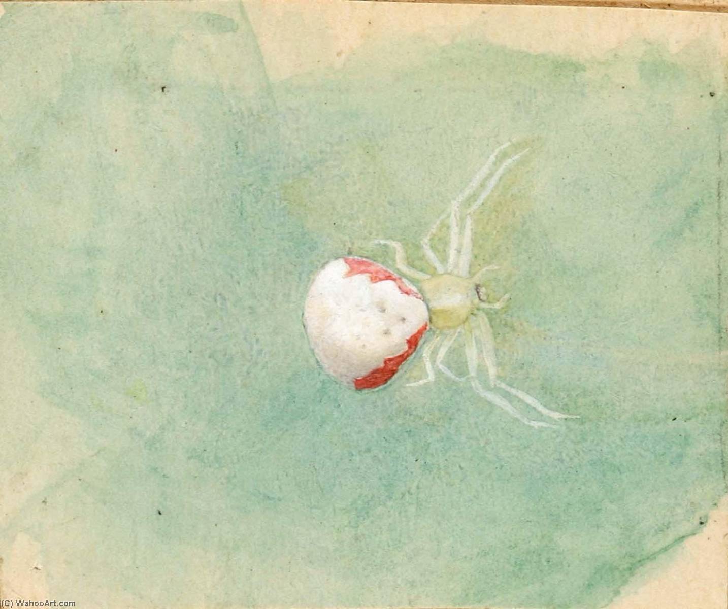 Porcelain White Spider — Emma Beach Thayer