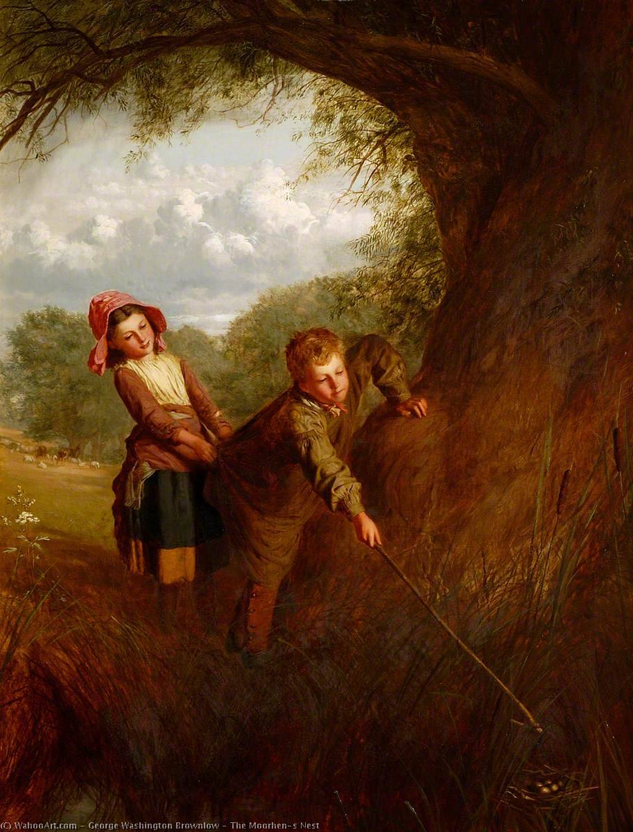 The Moorhen's Nest — George Washington Brownlow