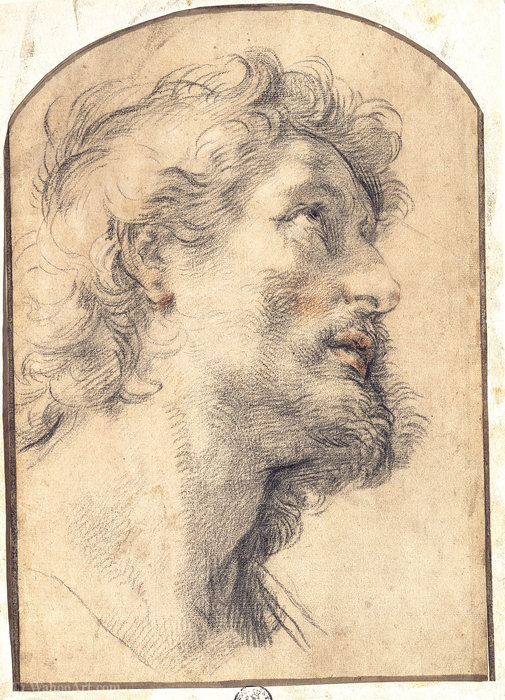 Study Of The Head Of Saint Crispin — Benedetto Luti