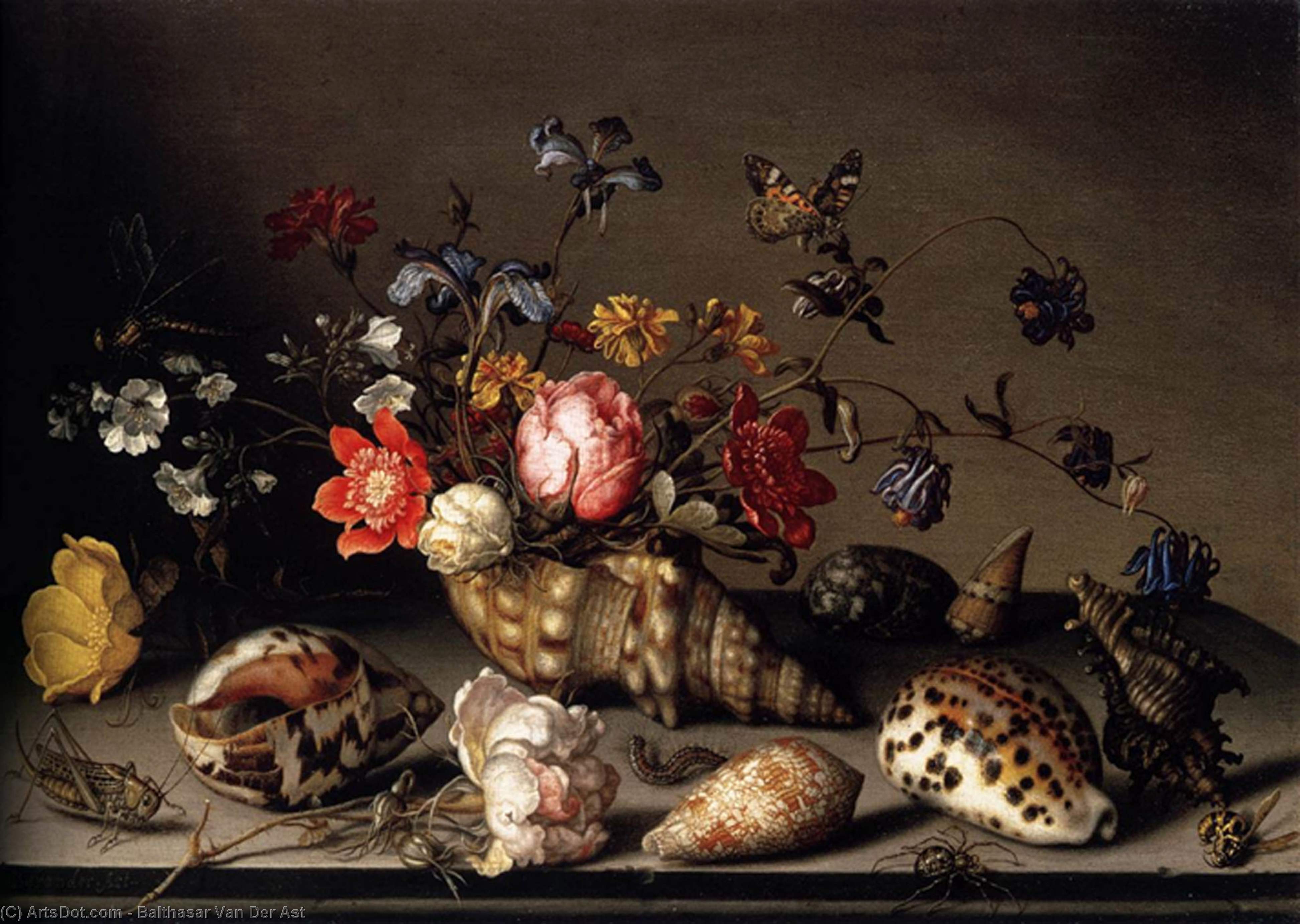 Still-life Of Flowers, Shells, And Insects — Balthasar Van Der Ast