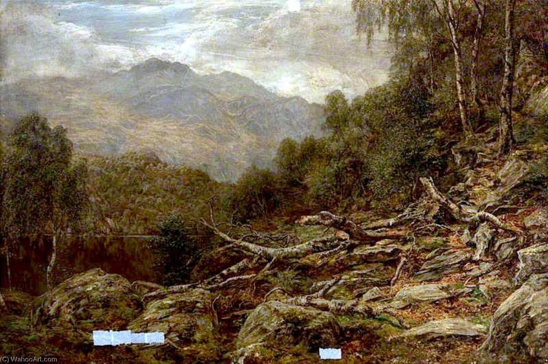 In The Trossachs — James Docharty