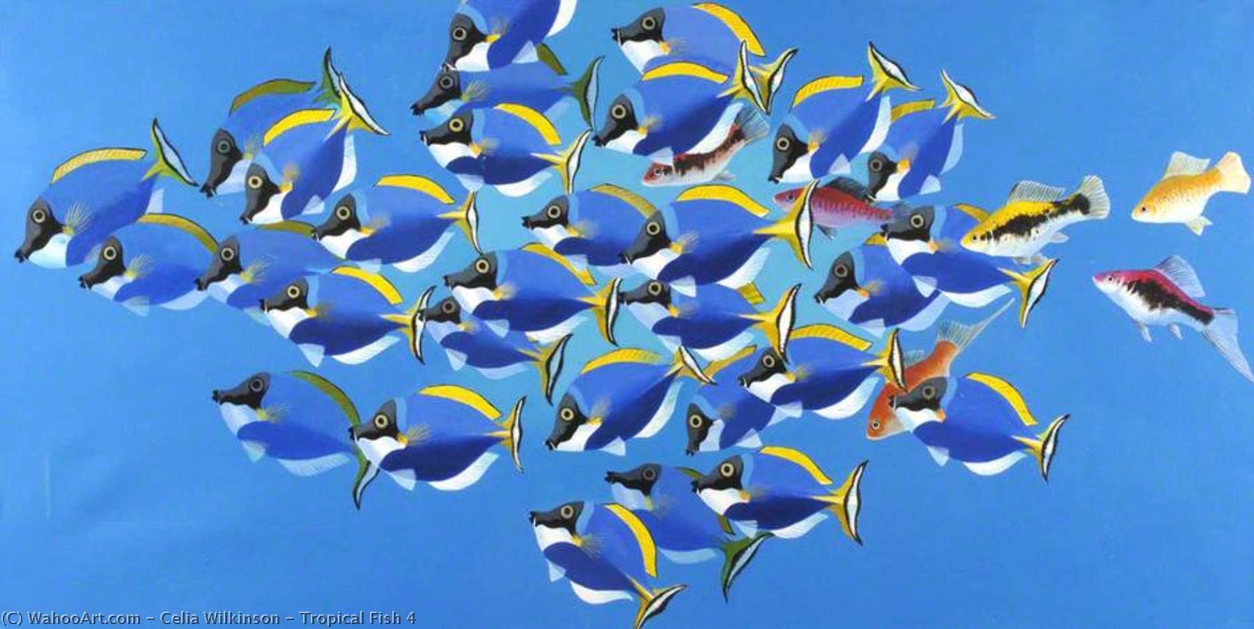 Tropical Fish 4 — Celia Wilkinson