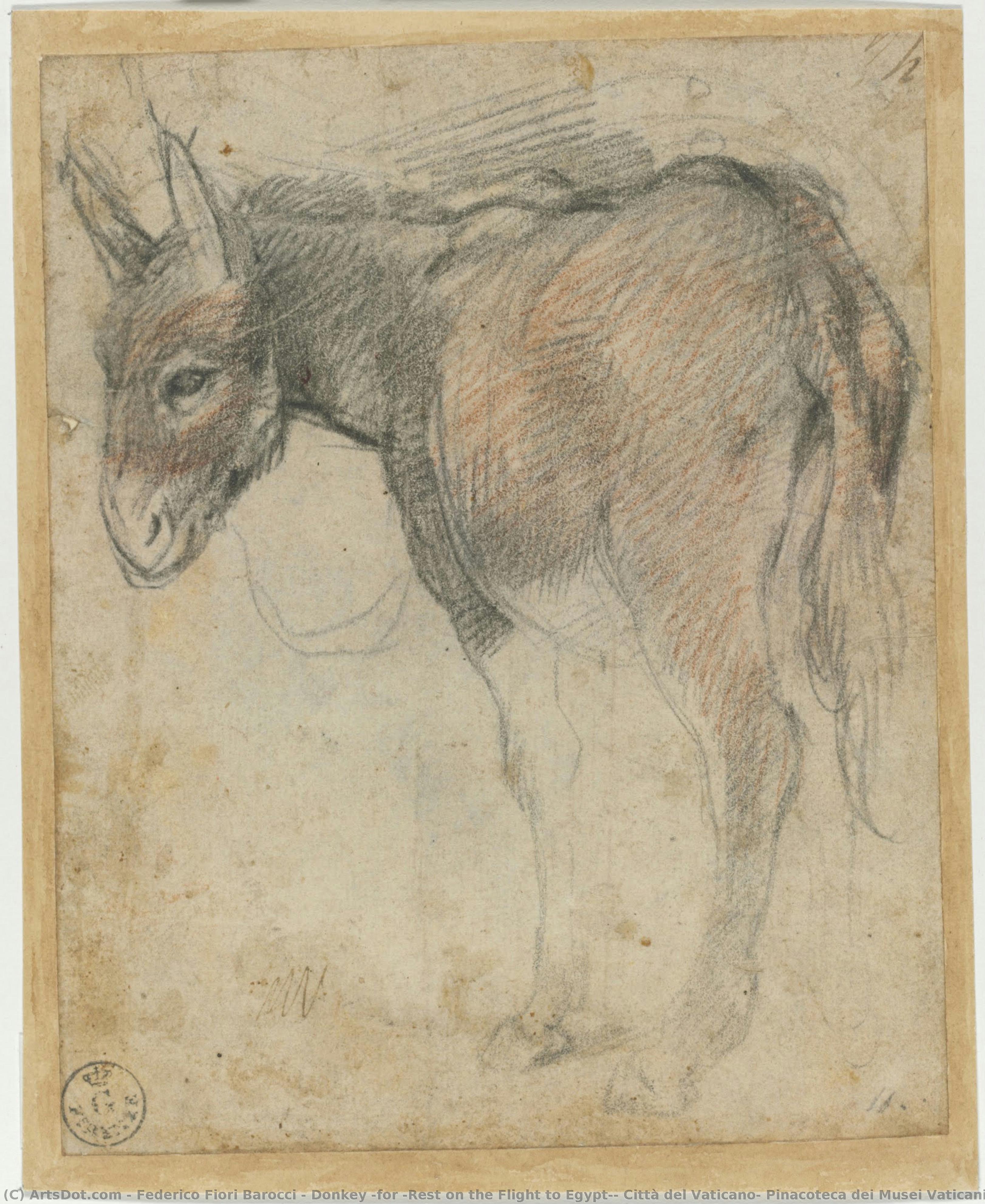 Donkey (for “rest On The Flight To Egypt”, Città Del Vaticano, Pinacoteca Dei Musei Vaticani) — Federico Fiori Barocci