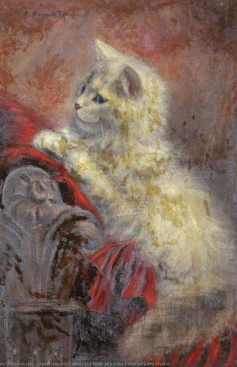 A Study Of A White Kitten On A Red Blanket — Agnes Augusta Talboys