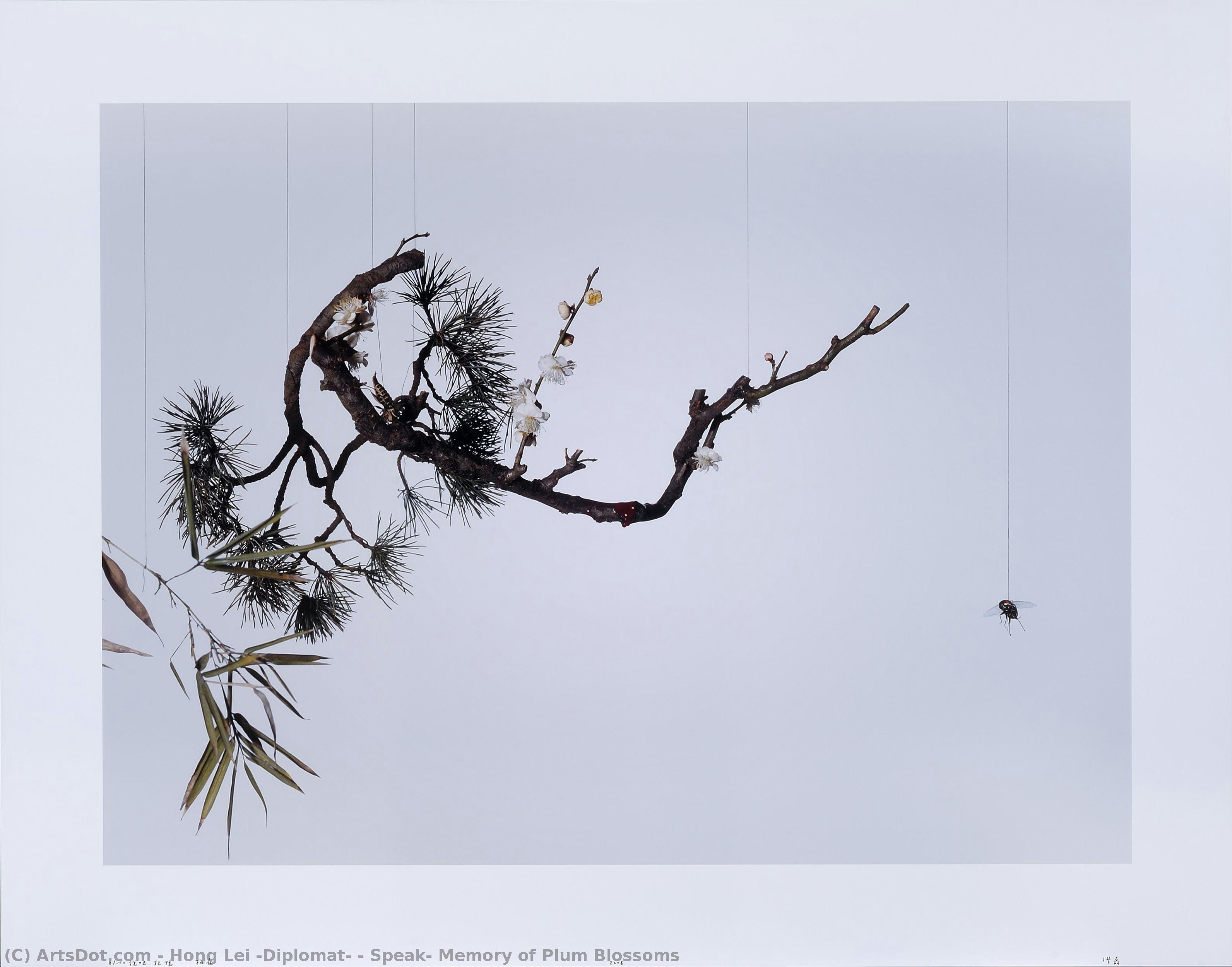 Speak, Memory Of Plum Blossoms — Hong Lei (diplomat)