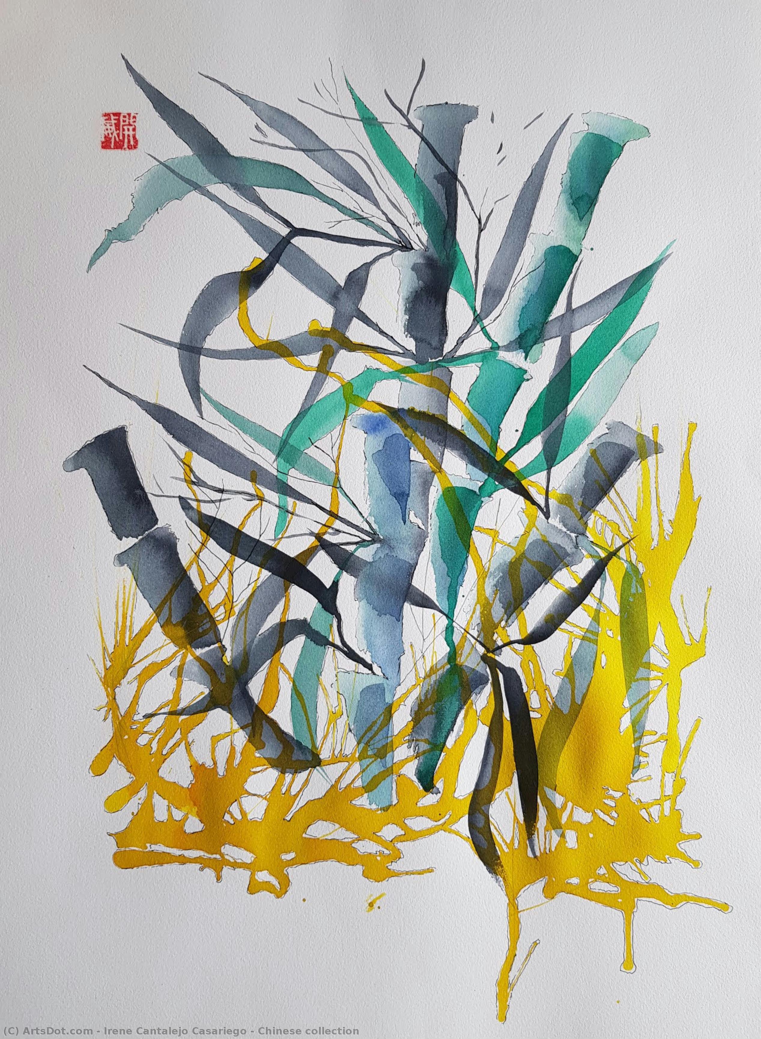 Chinese Collection — Irene Cantalejo Casariego