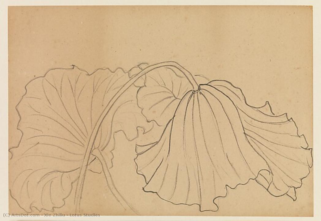Lotus Studies — Xie Zhiliu