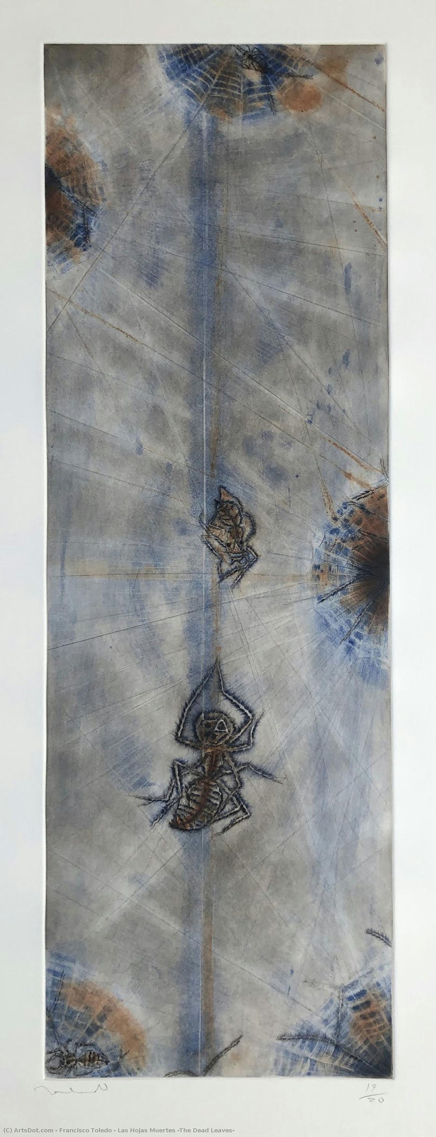 Las Hojas Muertes (the Dead Leaves) — Francisco Toledo