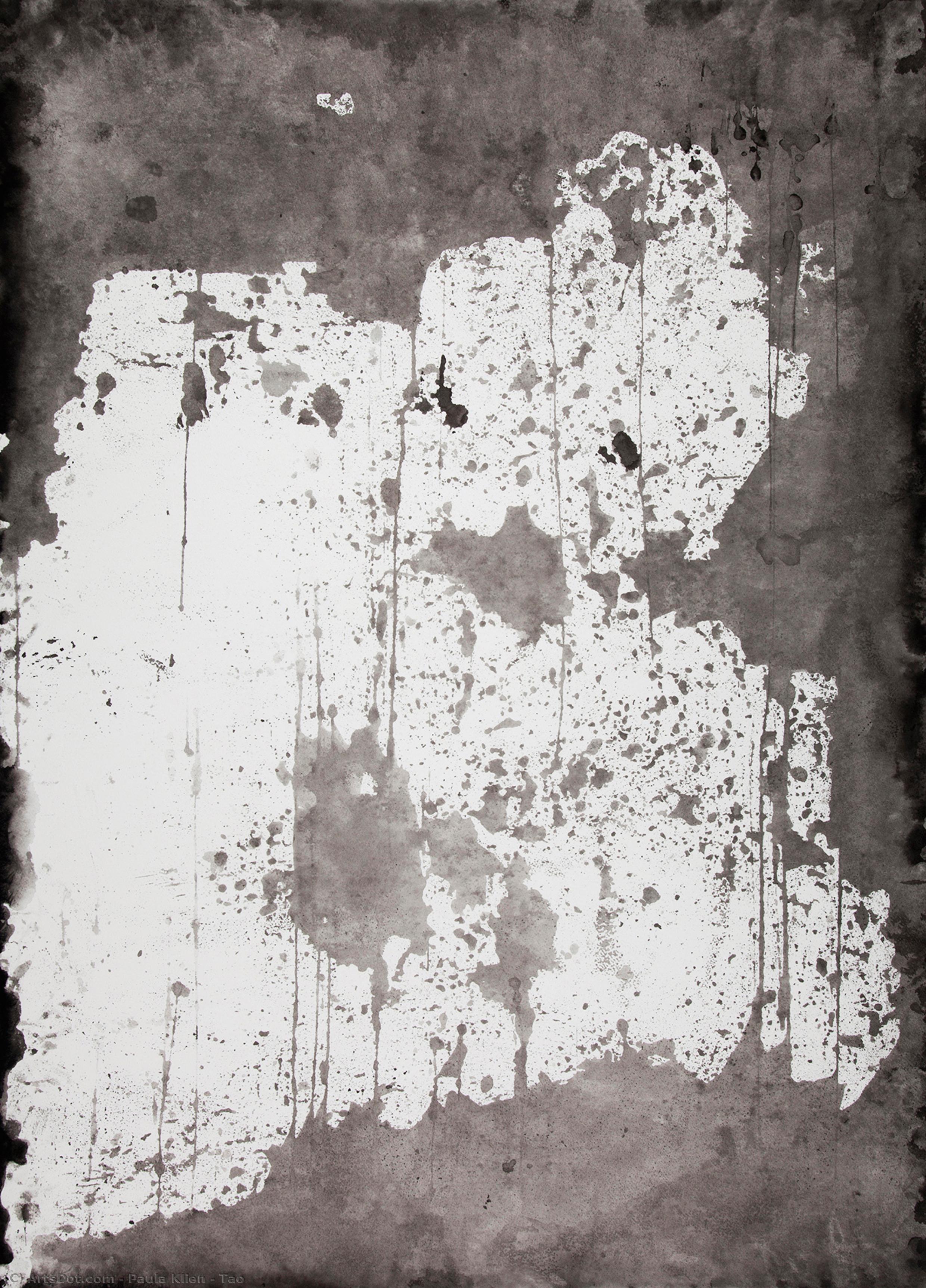Tao — Paula Klien