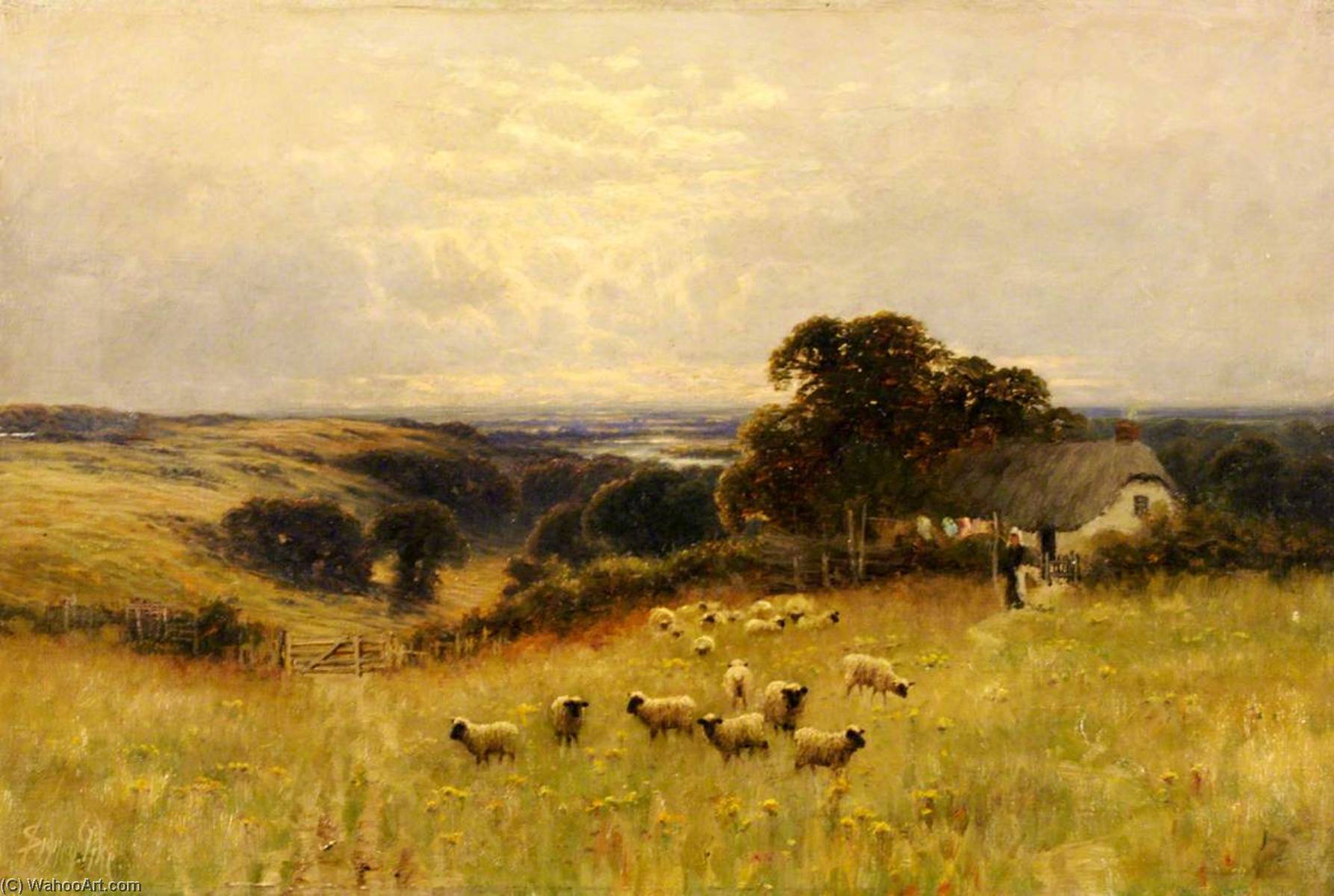 Meadow With Sheep — Sidney Pike