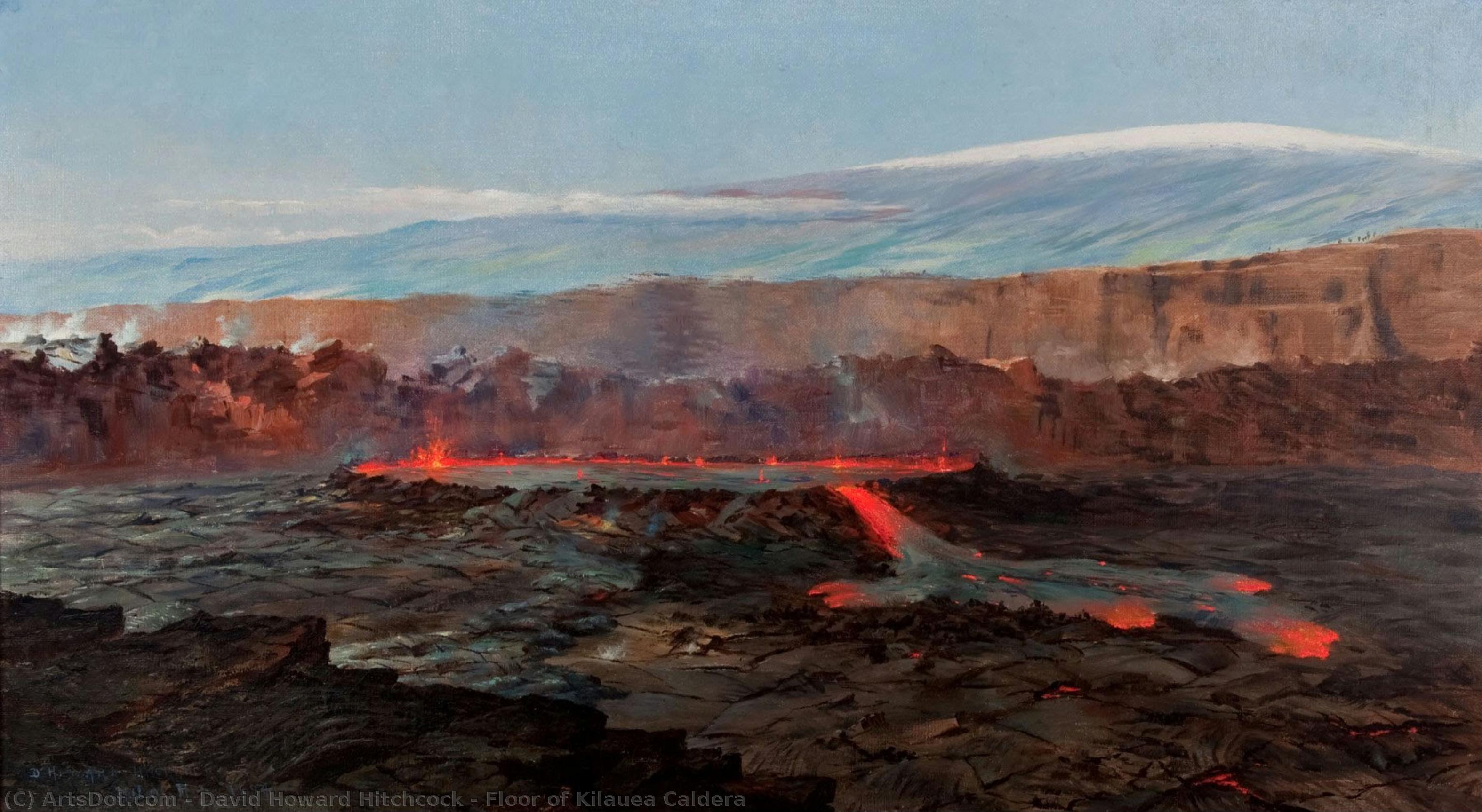 Floor Of Kilauea Caldera — David Howard Hitchcock
