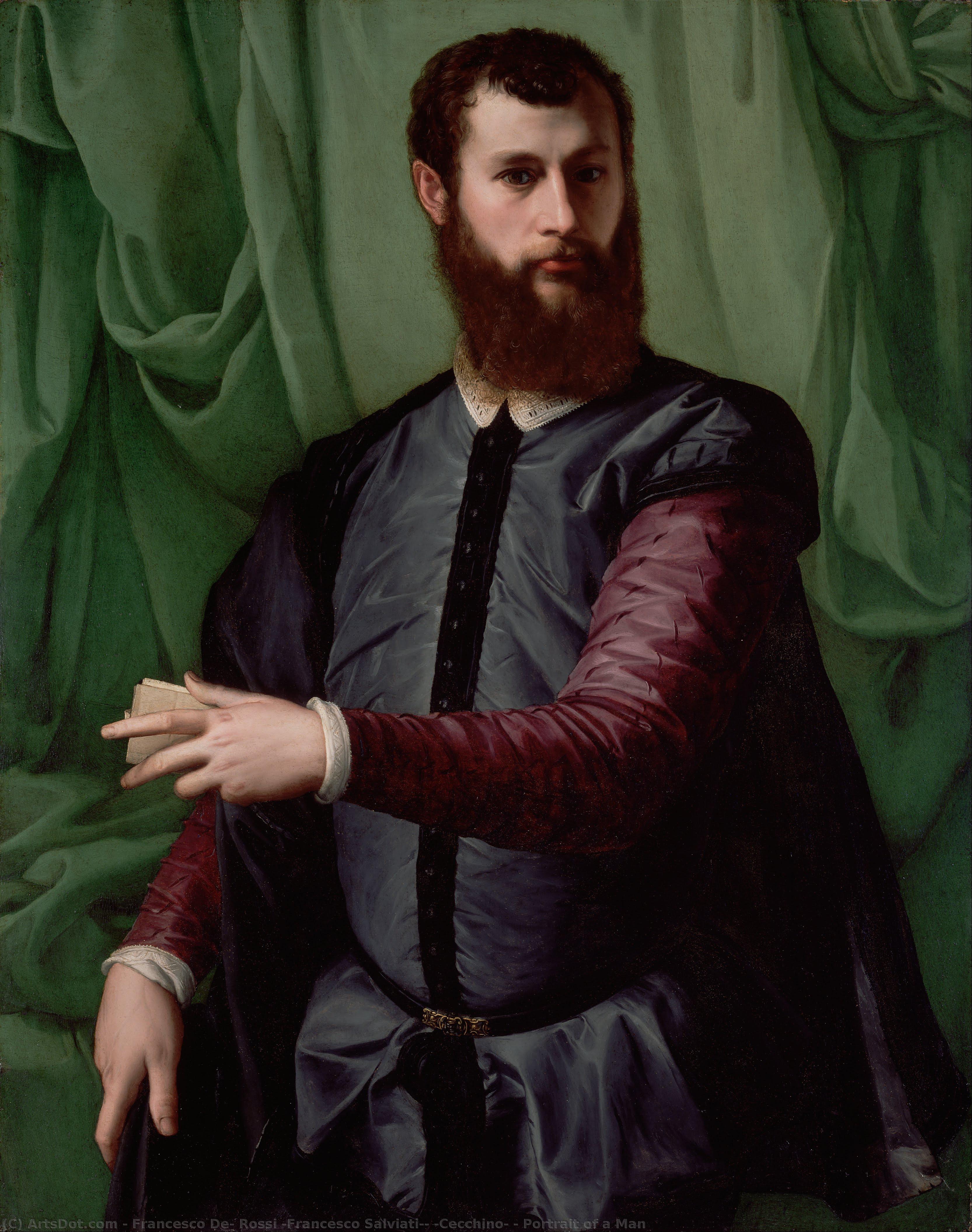 Portrait Of A Man — Francesco Salviati