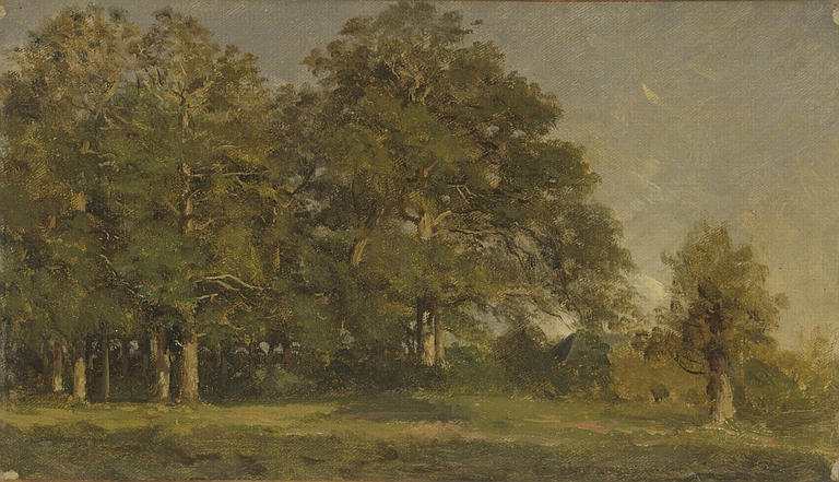 Paysage Aux Arbres — Laurent Guetal