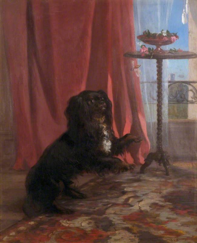 The Reverend Townshend's Dog — Francois Bocion