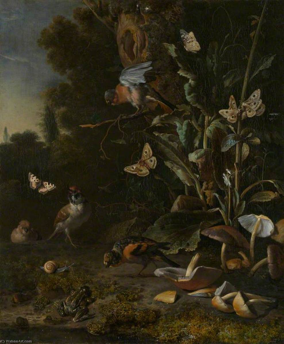 Birds, Butterflies And A Frog Among Plants And Fungi — Melchior De Hondecoetter