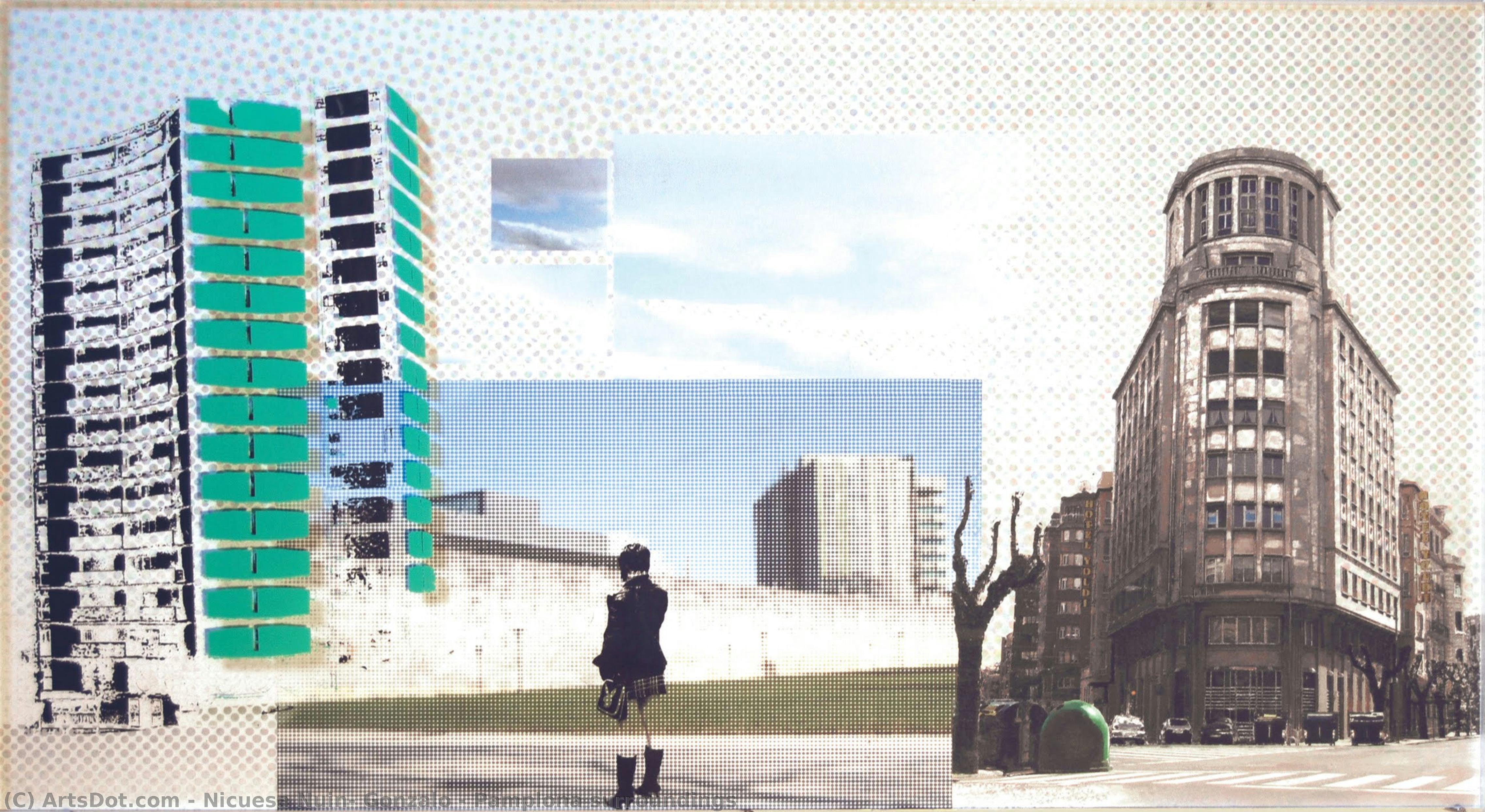 Pamplona Surroundings — Nicuesa Nuin, Gonzalo