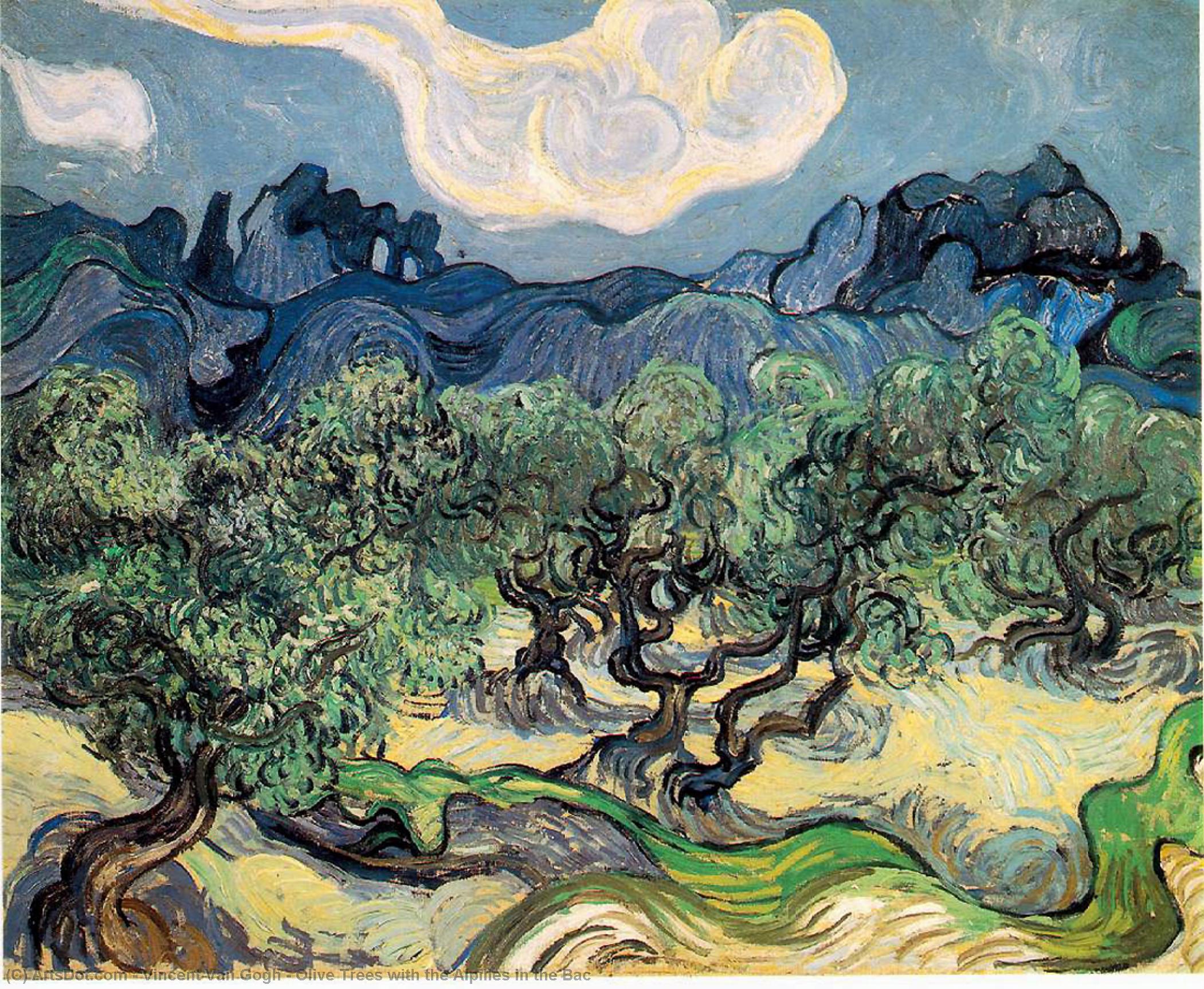 Olive Trees With The Alpilles In The Bac — Vincent Willem Van Gogh