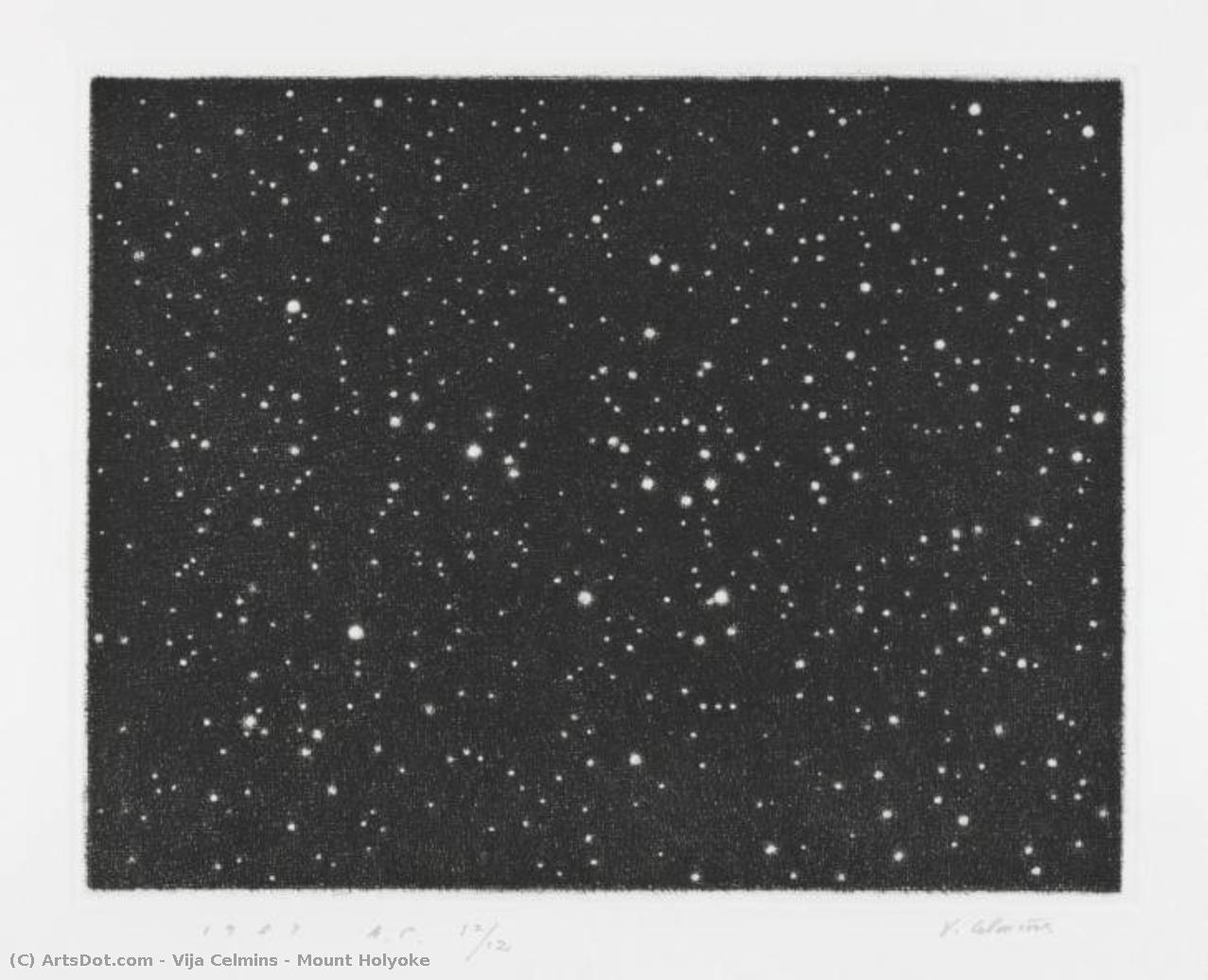 Mount Holyoke — Vija Celmins