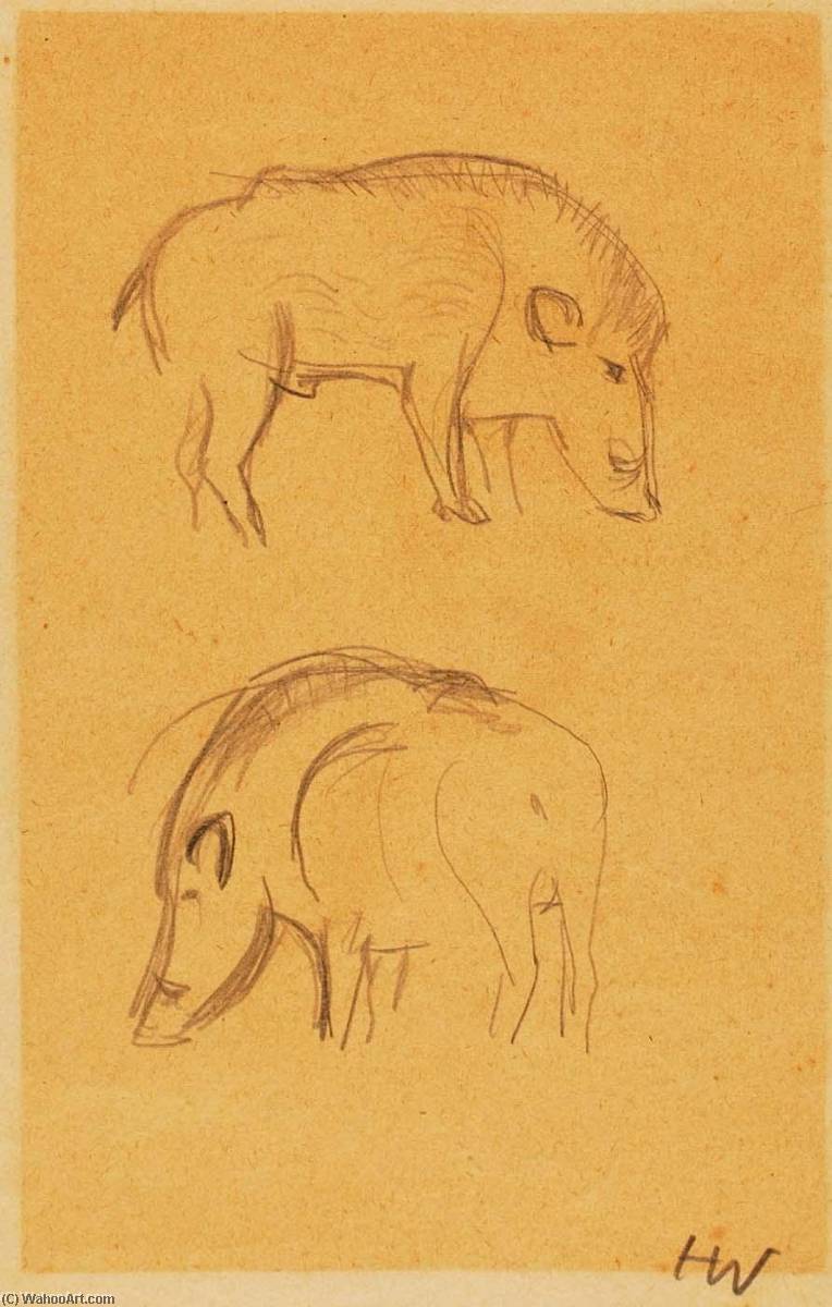 Boars (two) — Heinz Warneke