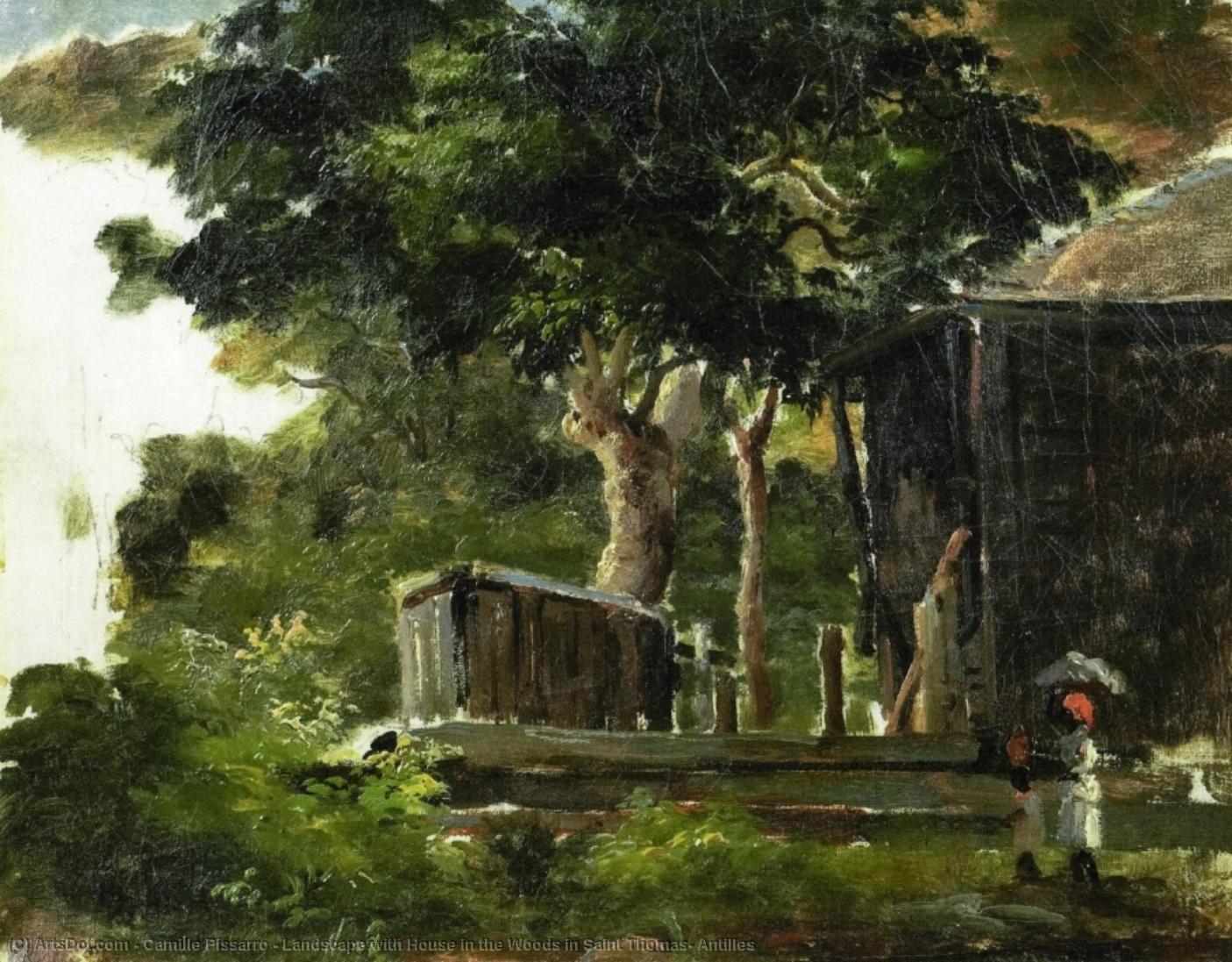 Landschaft Mit Haus Im Wald In Saint Thomas, Antillen — Camille Pissarro