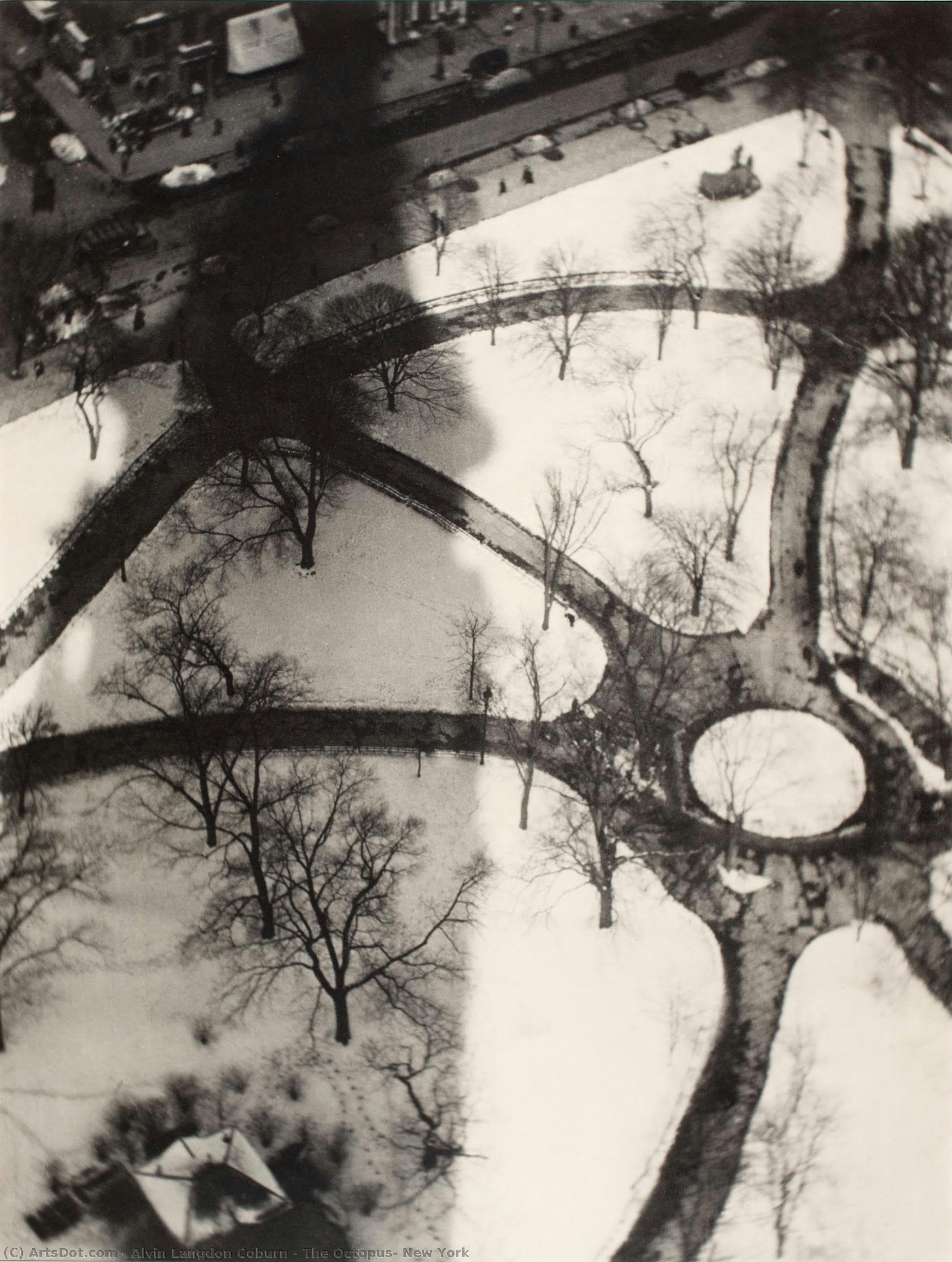 The Octopus, New York — Alvin Langdon Coburn