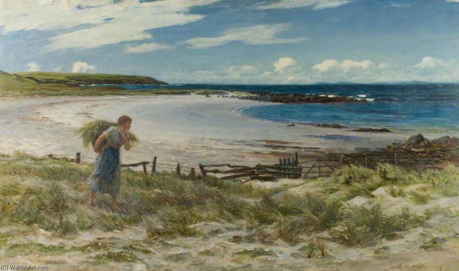 The Sands Of White Hills — Colin Hunter
