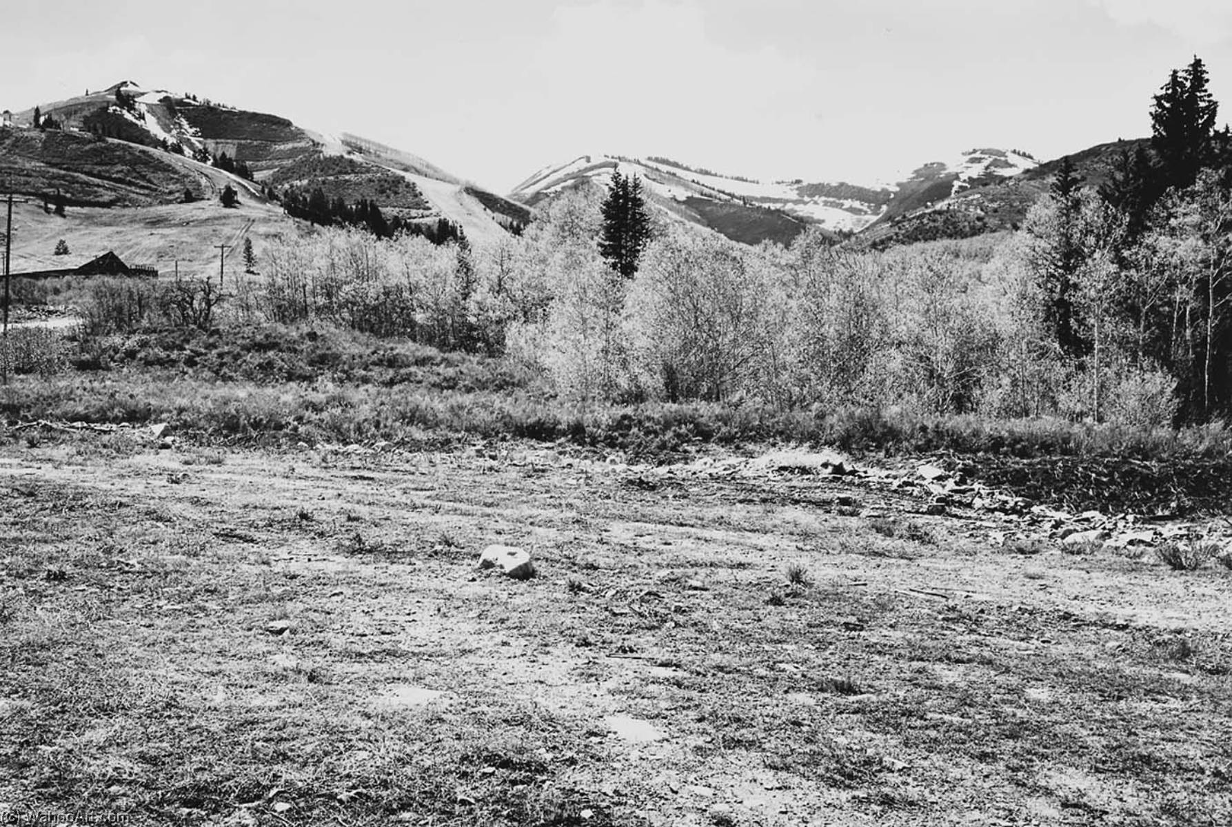 Park City 23. Cleared Area, Parkwest, Looking West Toward Bronco Ski Run And Murdock Peak — Lewis Baltz