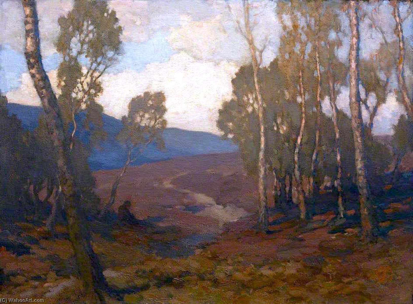 Landscape — James Cadenhead