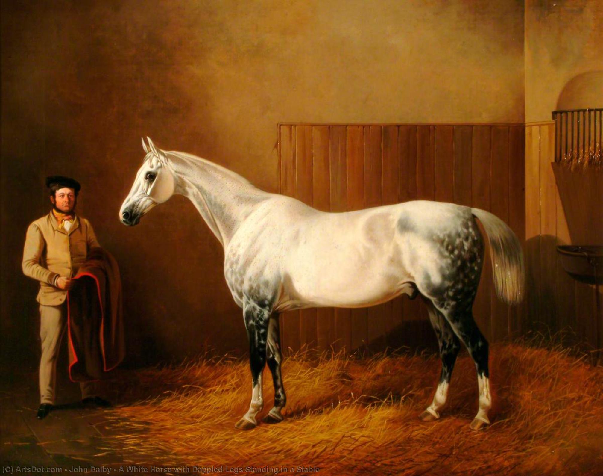 A White Horse With Dappled Legs Standing In A Stable — John Dalby