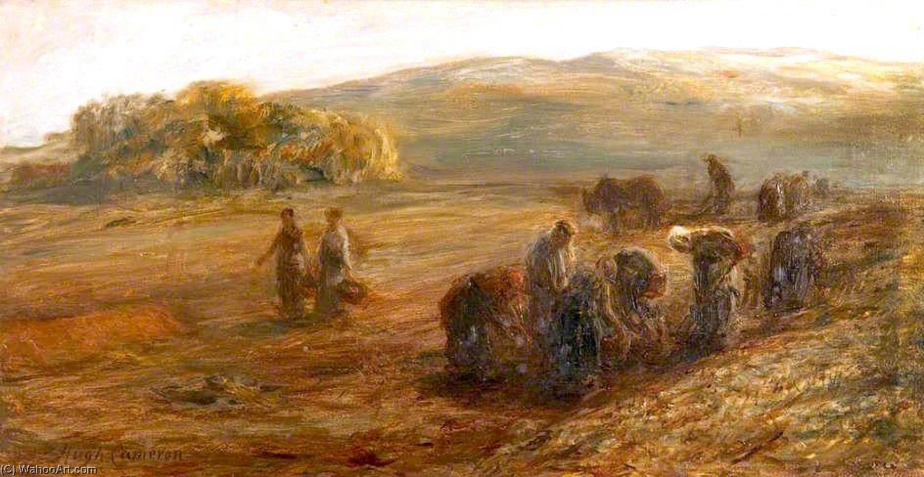 Lifting Potatoes — Hugh Cameron Wilson