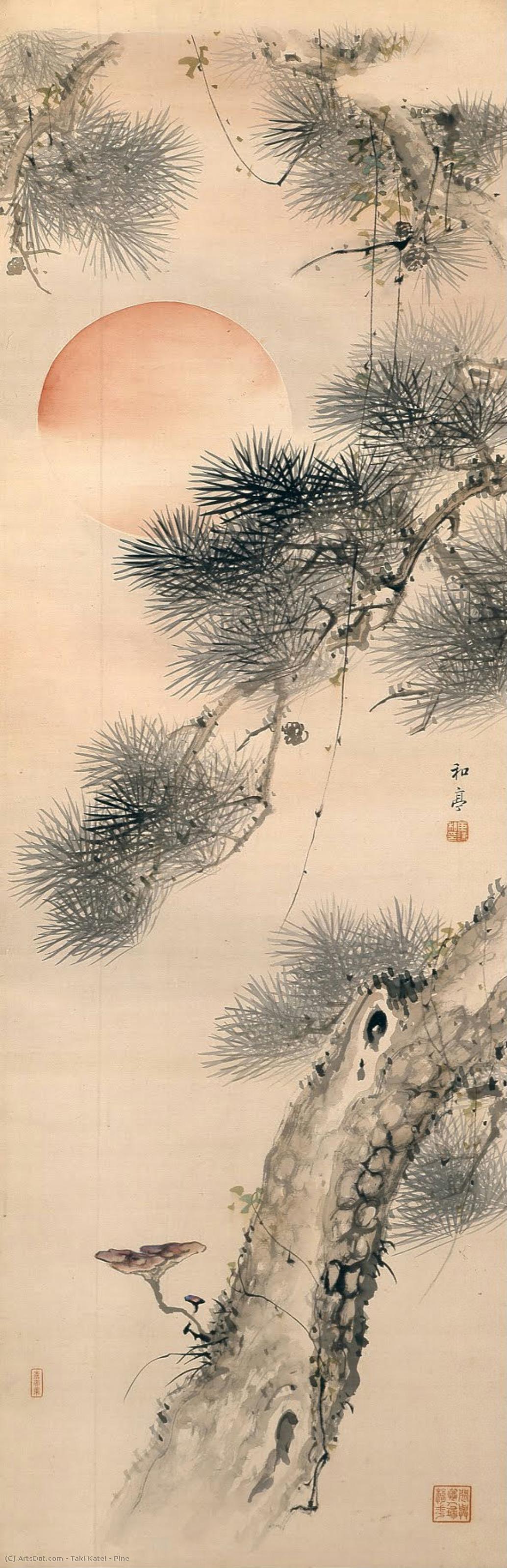 Pine — 高平 滝