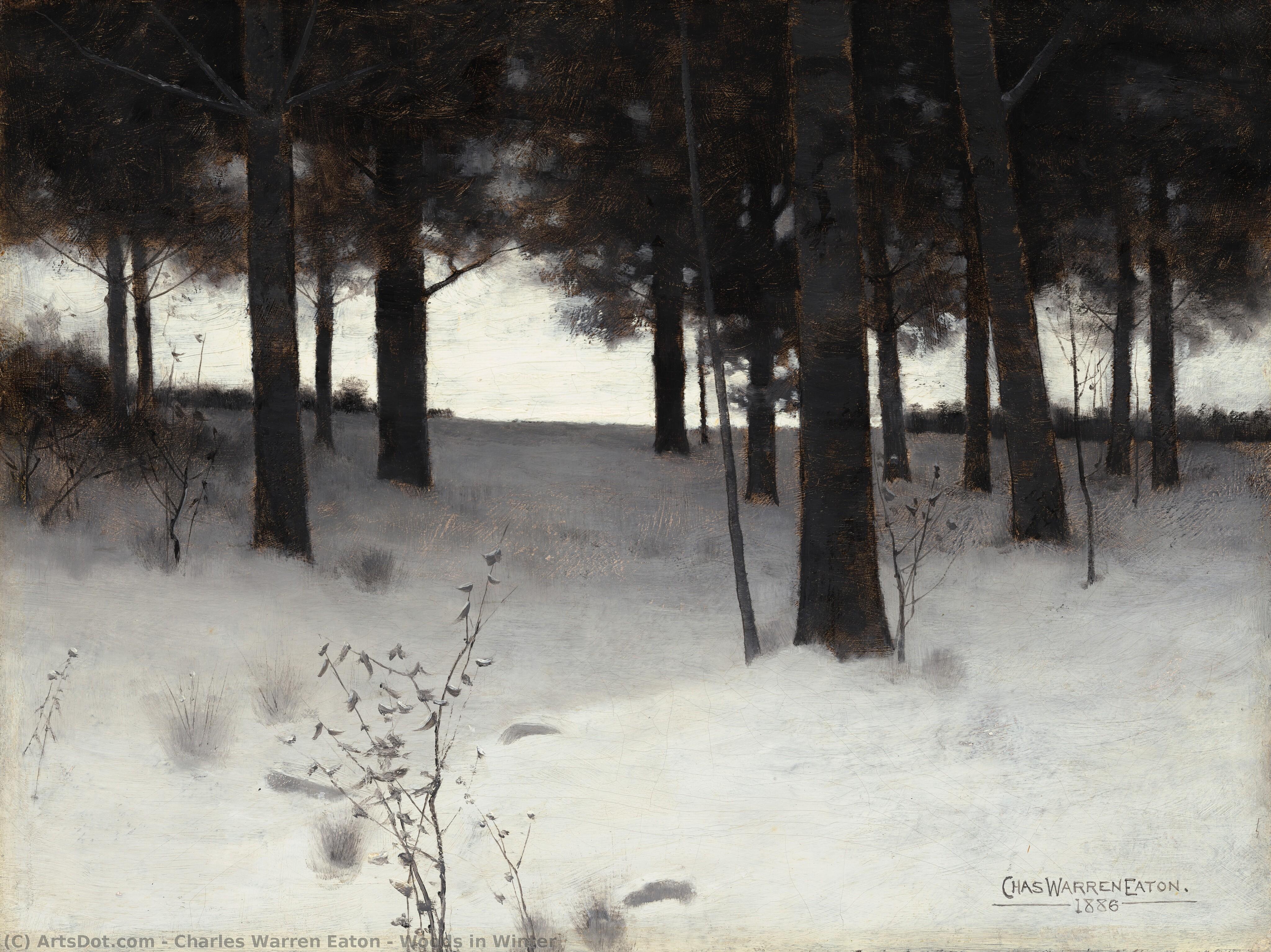 Woods In Winter — Charles Warren Eaton