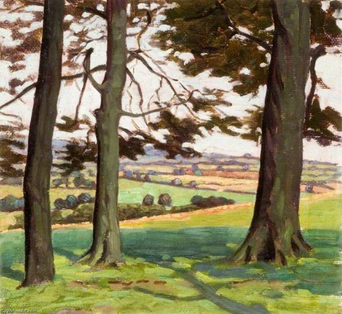 Landscape With Three Tree Trunks — Myrtle Broome