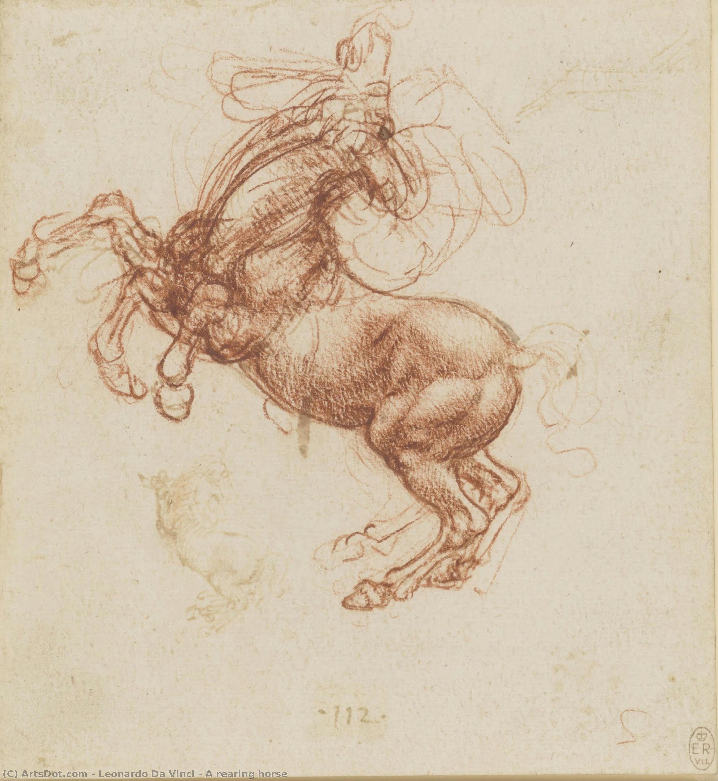 A Rearing Horse — Leonardo Da Vinci
