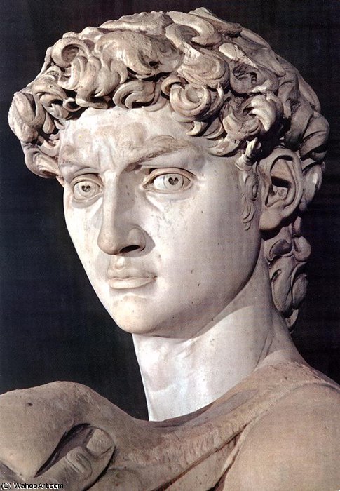 David Head Detail — Michelangelo Buonarroti